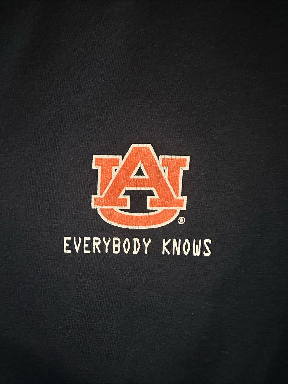 Auburn University Y2K Alstyle Graphic Tee L - Picture 5 of 9